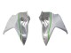 2015-2022 Kawasaki Ninja H2 Motorcycle Fairings - White Silver Green