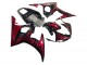 2005 Yamaha YZF 600 R6 Motorcycle Fairings - Black with Red Flame